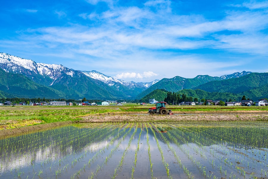 南魚沼市の写真
