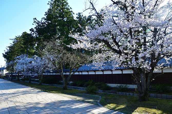 新潟市江南区の写真