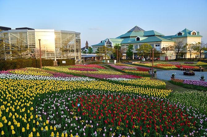 新潟市西区の写真