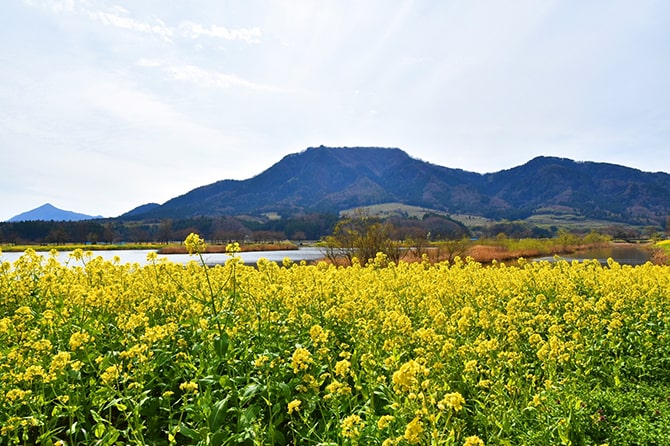 新潟市西蒲区の写真