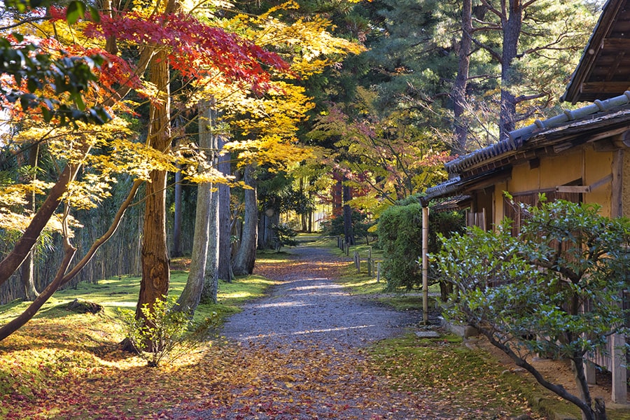 新発田市の写真
