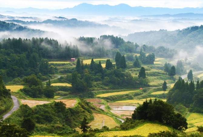十日町市の写真